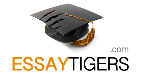 essay tigers review